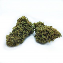 Mango Haze CBD |5/10/20g|...