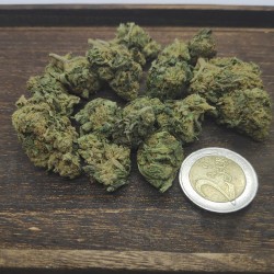 Cannatonic Coopérative...