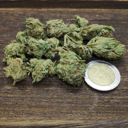 Harlequin Coopérative...